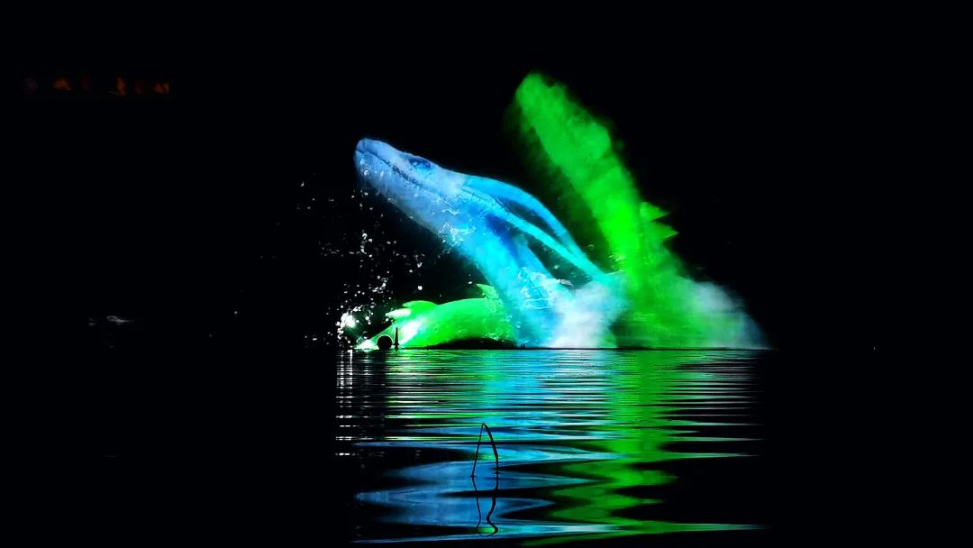 熱烈祝賀峨眉蓮花湖水秀項目《萬物生》榮獲2021年度優(yōu)秀數(shù)字文旅項目獎(圖11)