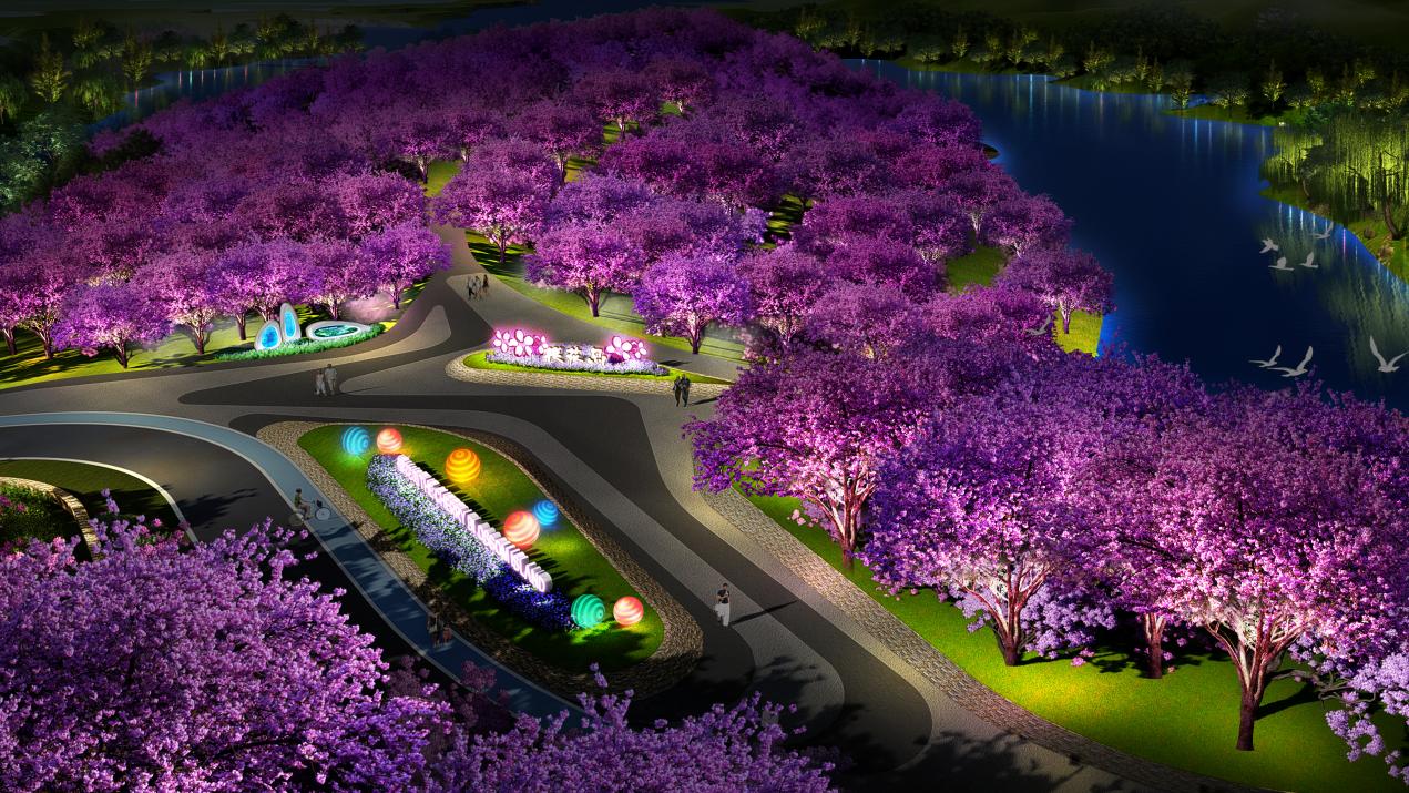 四川達(dá)州蓮花湖濕地公園夜游(圖7)